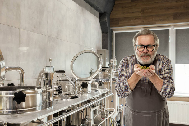 Professional brewer on his own craft alcohol production - Foto, Imagem