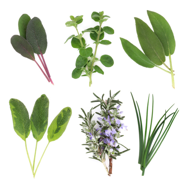 Herb list výběr - Fotografie, Obrázek