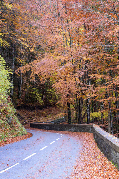 Mała górska droga z jesiennym lasem i kolorowymi liśćmi w Alpach Francuskich. - Zdjęcie, obraz