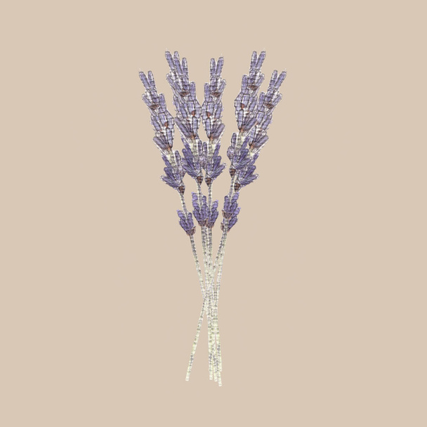 Bunch of French lavender flowers isolated on light beige background. Beautiful bouquet of wildflowers. Botanical watercolor. Hand drawn illustration. - Valokuva, kuva