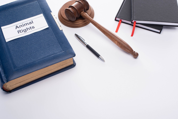 high angle view of judge gavel, blue book with animal rights inscription, pen and black notebooks on white background - Photo, Image
