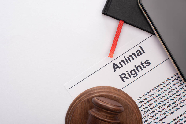 vista superior de la inscripción de derechos de los animales, cuadernos negros, teléfono inteligente y martillo juez sobre fondo blanco
 - Foto, Imagen