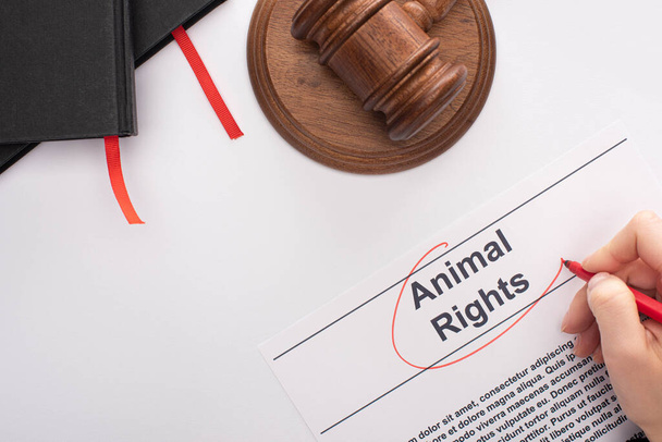 partial view of woman circling animal rights inscription with red felt pen near judge gavel and black notebooks on white background - Photo, Image