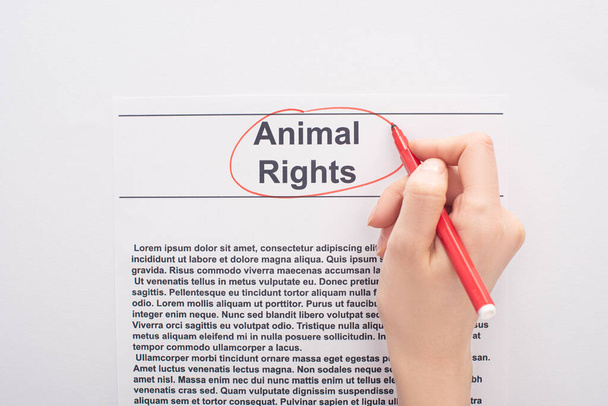 partial view of woman circling animal rights inscription with red felt pen on white background - Photo, Image