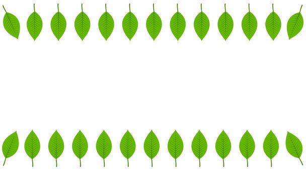 Foglie verdi cornice Natura Sfondo bianco isolato, perfetto per biglietti di auguri e inviti, perfetto per biglietti di auguri e inviti
 - Foto, immagini
