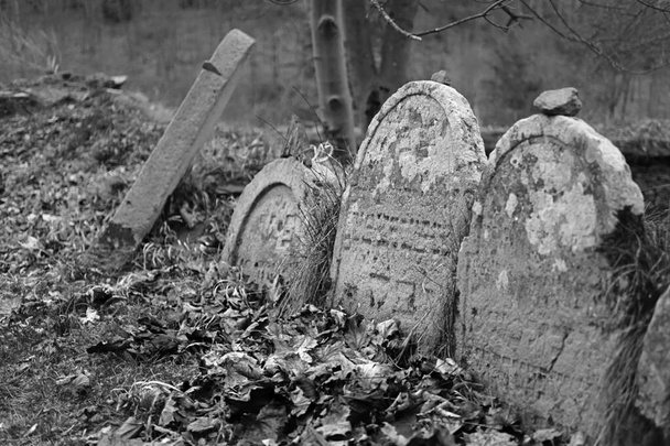 επιτύμβιες στήλες στο εβραϊκό κοιμητήριο - Φωτογραφία, εικόνα