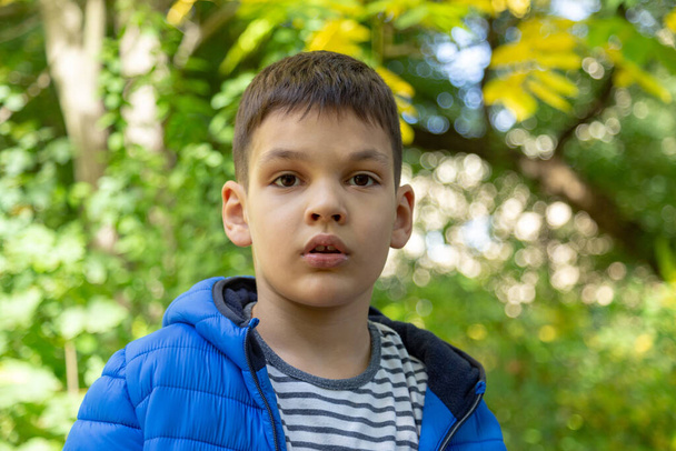 Óvodai kaukázusi fiú portré az őszi levelek háttér a nyári nap folyamán. A szöveg másolási helye. - Fotó, kép