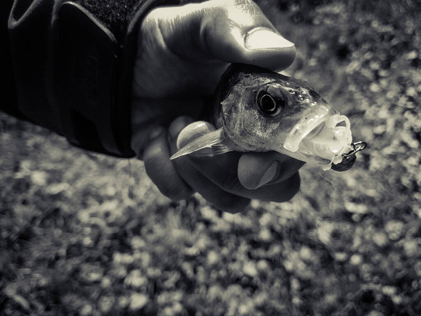 Kuonokalastus joen pohjassa
 - Valokuva, kuva