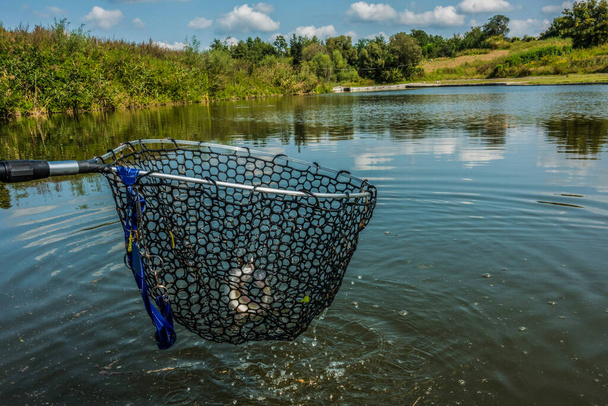Pesca de lúcio no lago
 - Foto, Imagem