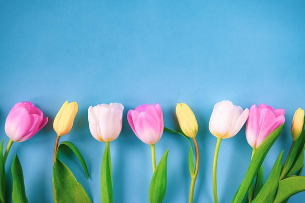 Fondo de Pascua con tulipanes
 - Foto, imagen