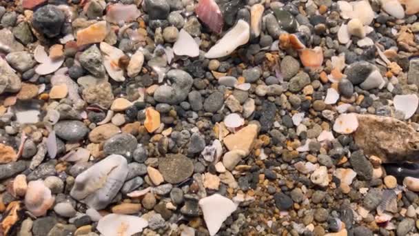 Morze kamyczki mokre od fal pięknie świeci w słońcu - Materiał filmowy, wideo