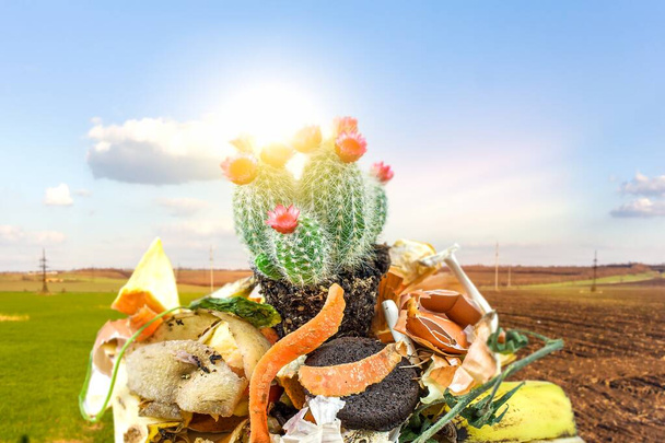 Biomüll. Kompost Umweltsymbol. Konzept Lebensmittelverschwendung isoliert  . - Foto, Bild