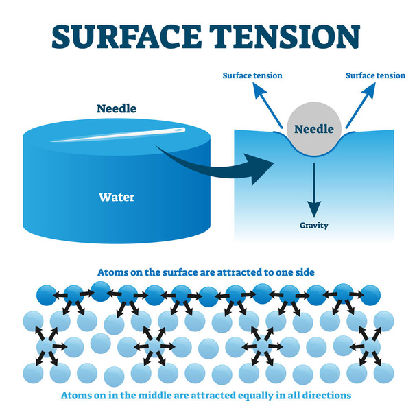 Surface tension explanation vector illustration diagram - Vektor, kép