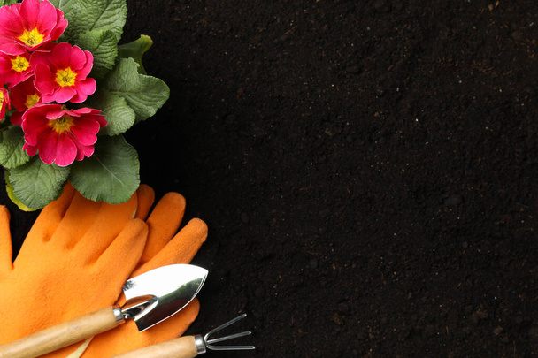 Flowers and gardening tools on soil background, space for text - Photo, Image