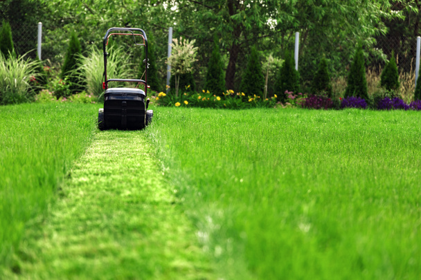 Grasmaaier gras snijden in achtertuin - Foto, afbeelding