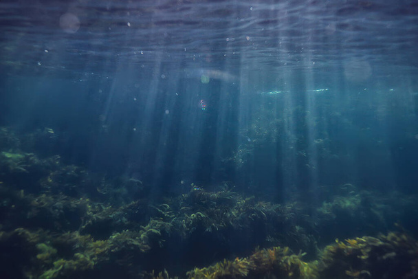 paprsky světla pod vodou čerstvé jezero, abstraktní pozadí příroda krajina slunce voda - Fotografie, Obrázek