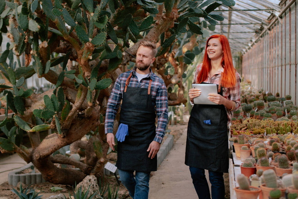 Two charismatic gardener woman with redhead and good looking man with a beard walking around in a agricultural greenhouse they analyzing the deck plants - Foto, afbeelding