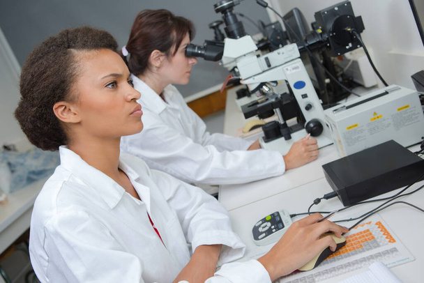 female researcher analyzing liquid chromatography data - Foto, Imagem