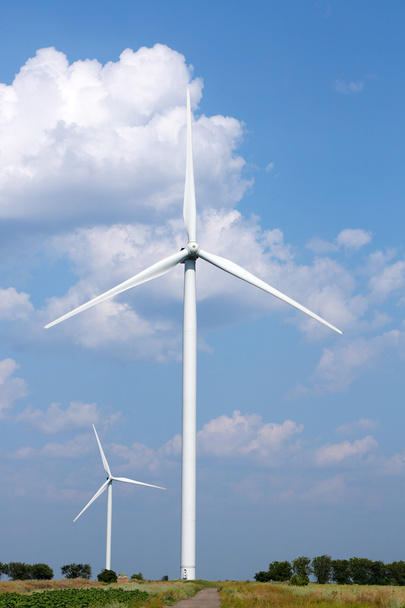 Windmills field - Photo, Image