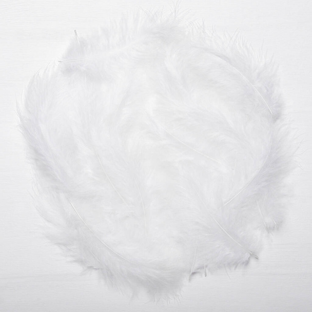A bunch of white feathers on a white wooden background. Round frame. Top view, flat lay. - Photo, Image