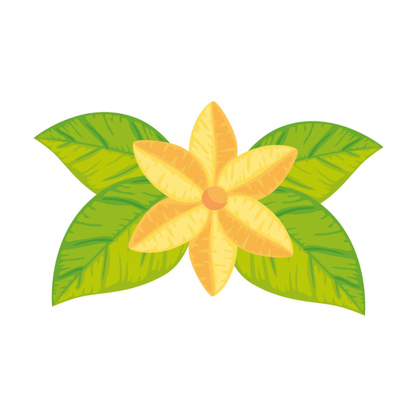 χαριτωμένο λουλούδι με φύλλα απομονωμένο εικονίδιο - Διάνυσμα, εικόνα