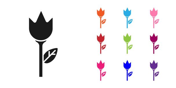Schwarze Blume Tulpe Symbol isoliert auf weißem Hintergrund. Setzen Sie Symbole bunt. Vektorillustration - Vektor, Bild