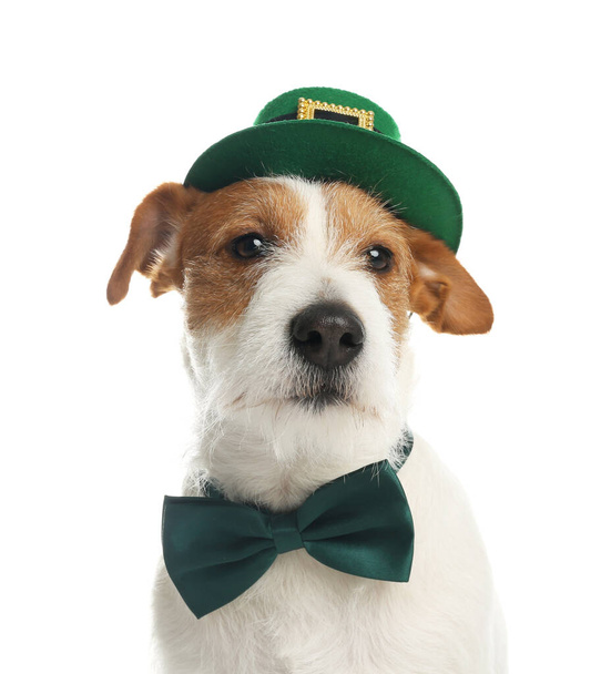 Jack Russell terrier with leprechaun hat and bow tie on white background. St. Patrick's Day - Foto, imagen