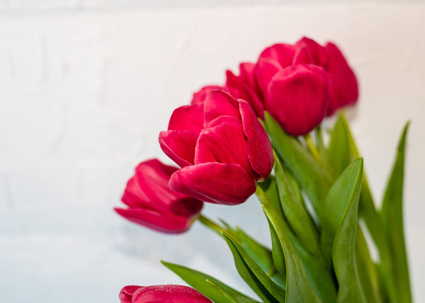 Bouquet de tulipanes rosados en un jarrón de cristal. Flores de primavera. Historia de primavera. El Día Internacional de la Mujer y el trasfondo del Día de la Madre. - Foto, Imagen