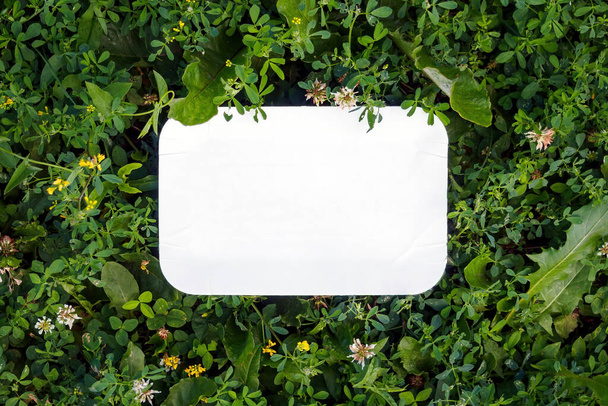 Top view of rectangular empty paper on green grass, mockup, copy space. Concept for zero waste, eco recycle. Blank screen for design card - Foto, Bild