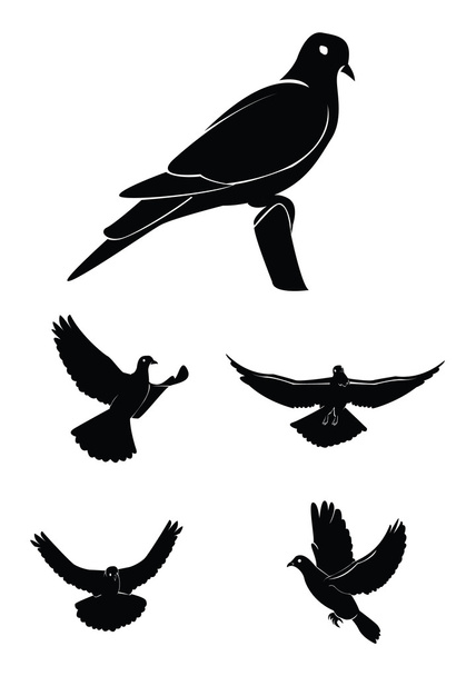 Vector illustration of dove set - Vetor, Imagem