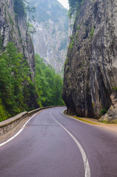 Дорога Біказ-Ущелина в Румунії, є одним з найбільш видовищних шляхів в країні, розташованих в Карпатських горах. Високі скелі ущелини розділені гірською річкою Біказ.. - Фото, зображення