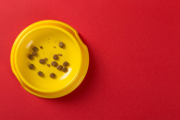 Yellow bowl with cat food on a red background. The concept of healthy eating for pet. Copy space. - Foto, immagini