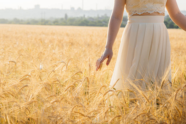 A girl walks through a ripe field of wheat touching the spikelets with her hands in close-up. Agricultural industry - Photo, Image