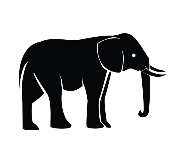 Illustration of elephant silhouette - Vector, afbeelding
