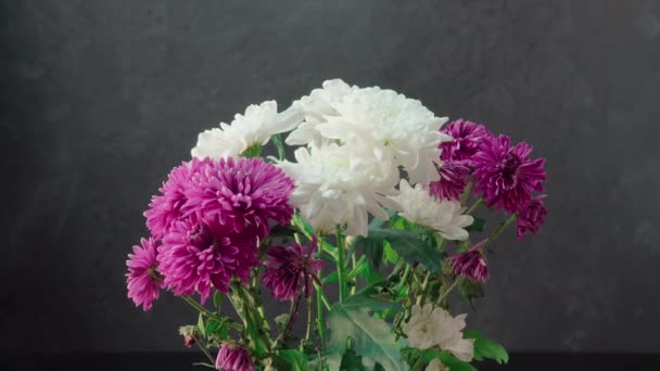 White and purple chrysanthemums on a dark background - Footage, Video
