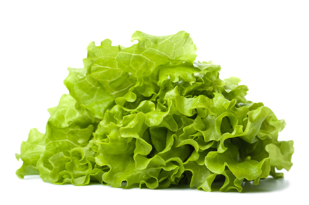 Fresh lettuce isolated - Photo, Image