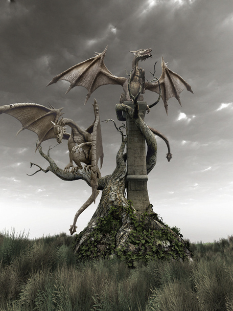 Dragons sur un arbre noueux
 - Photo, image