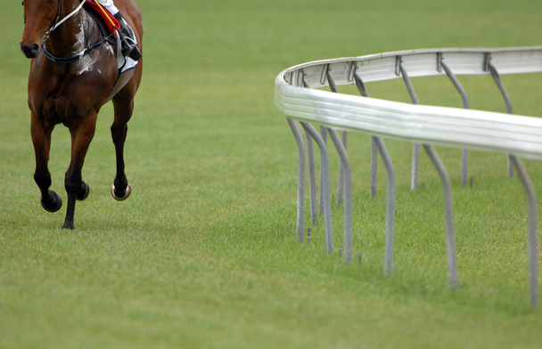 track horse racing - Photo, Image