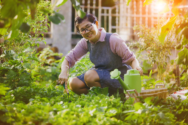 asian woman working in organic home garden - Photo, Image