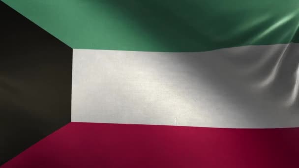 Flag of Kuwait 3D Loop - Materiał filmowy, wideo