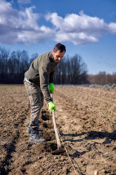 Farmer working on his lavender plantation - Photo, image