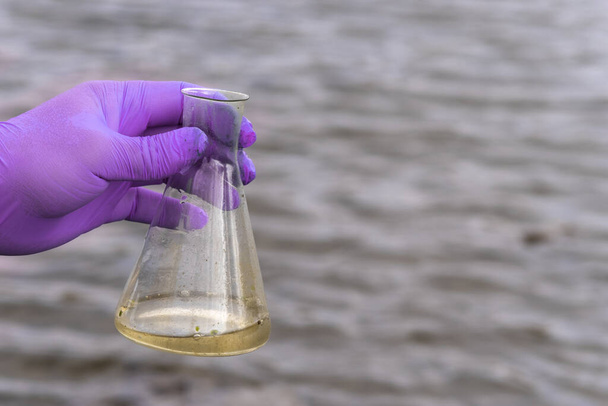Sample water from the river for analysis. Hand in glove holding a test tube.ecology concept - Photo, Image