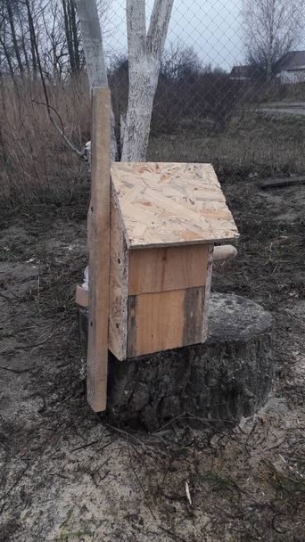 Producción e instalación de pajareras para las aves en un árbol
 - Foto, imagen