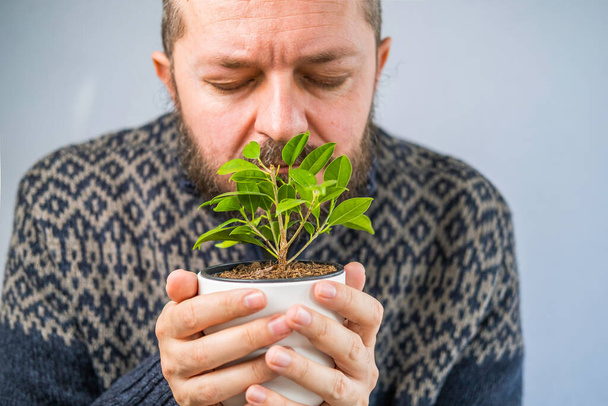 Bearded man in sweater holding and smelling the plant in hands, shallow debt of field - Фото, изображение