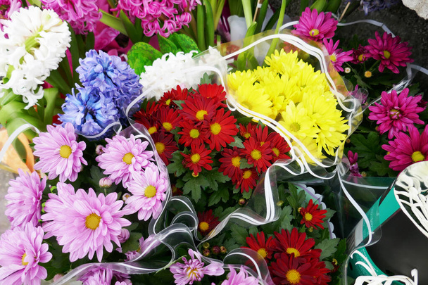 Ünnepi tavaszi virágok háttér ünneplésére különleges alkalom vagy nyaralás  - Fotó, kép