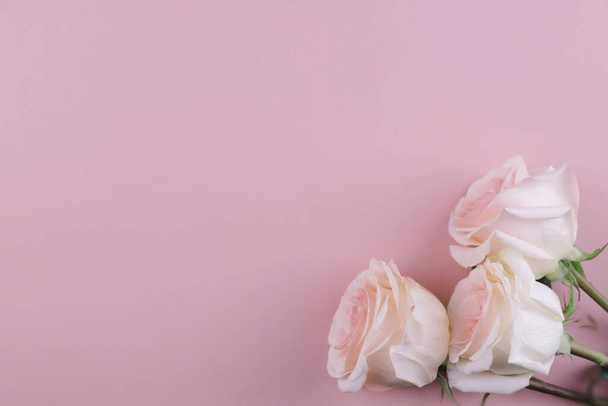 three pink rose in the corners on a pink background - Valokuva, kuva