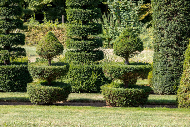 Живописный сад Мануара д "Эриньяка в Дордоне. Франция  - Фото, изображение