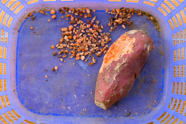 sladké brambory snědené malým zvířetem pravděpodobně krysou v košíku - Fotografie, Obrázek