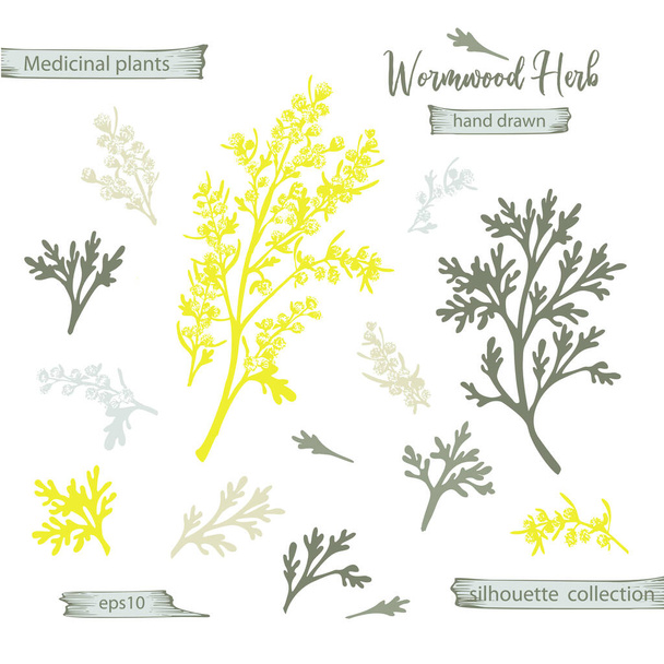 Set color hand drawn silhouette of wormwood, lives and flowers isolated on white background. Retro vintage graphic design. Botanical sketch drawing, engraving style. Vector illustration. - Vector, imagen