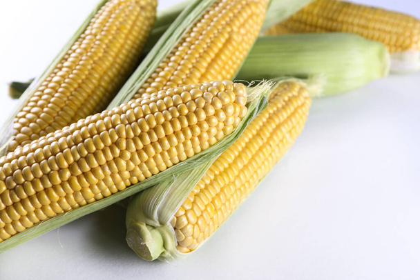 Cobs of ripe raw corn, isolated on white. Healthy summer food concept. Fresh uncooked corncob. Clean eating habits. Background, top view, close up, flat lay, copy space. - Φωτογραφία, εικόνα